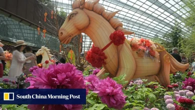 Johor businesses prepare for Singaporeans’ Lunar New Year shopping spree