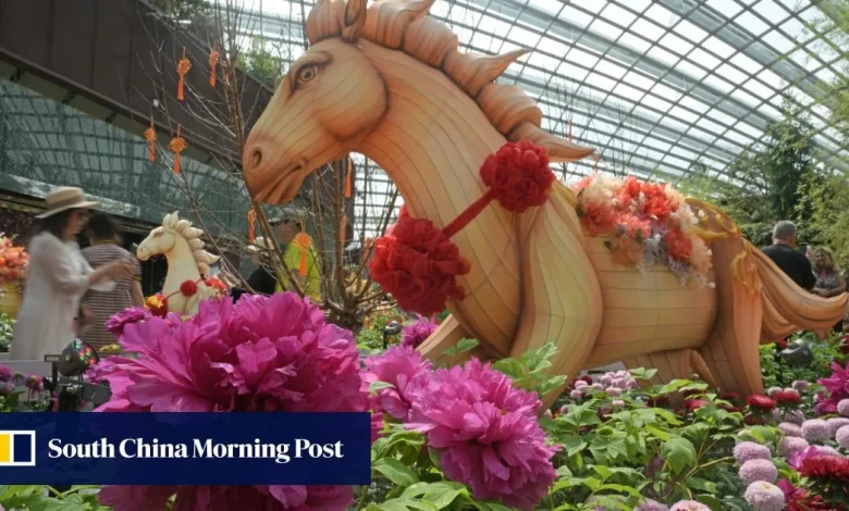 Johor businesses prepare for Singaporeans’ Lunar New Year shopping spree