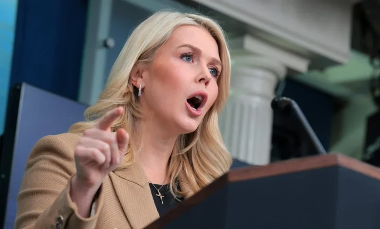 Karoline Leavitt Crashes Out Over Reporter Citing Real ICE Statistics