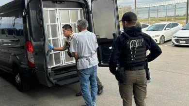 Kerri Ann Abatti killed: California farmer Michael Abatti pleads not guilty to killing estranged wife in Arizona