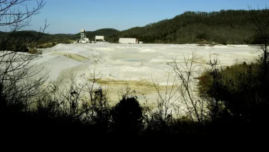 Korea Zinc's $7.4B bet on Middle Tennessee could reshape the region