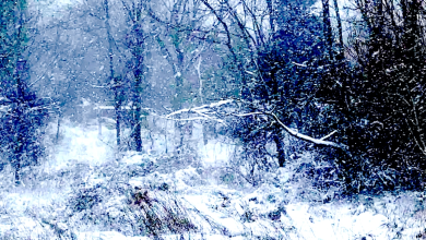 LI Weather Monday: Treacherous Icy Roads, Possible Snow, Frosty Temps, Beach Erosion Across Area