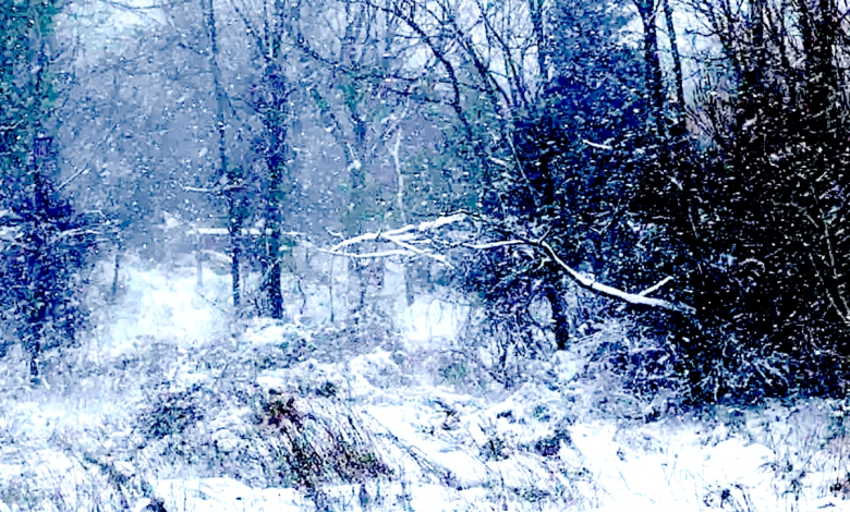 LI Weather Monday: Treacherous Icy Roads, Possible Snow, Frosty Temps, Beach Erosion Across Area