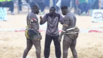 Lamb : (vidéo) Regardez la victoire de Général Malika devant Alioune Sèye 2 !