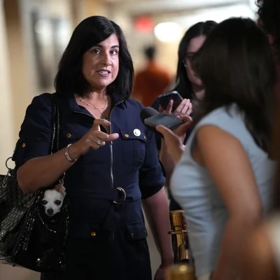 Latest redistricting drama could knock out NYC’s only congressional Republican