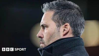 Leicester City v West Bromwich Albion: Championship stats & head-to-head