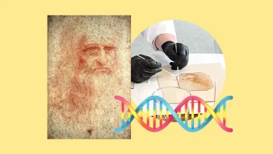 Leonardo da Vinci’s DNA ‘found on artwork’ - The Times