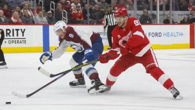 Line Combinations: Red Wings vs Avalanche