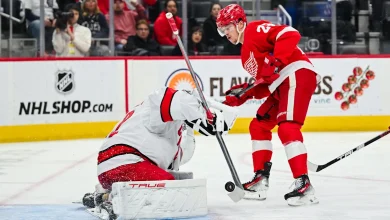 Line Combinations: Red Wings vs Hurricanes