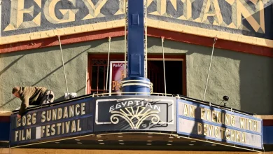 List Of All Awards At Festival