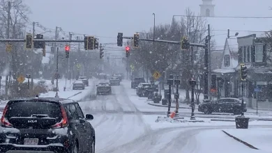Live Weather Updates: Major winter storm starts on Cape Cod. What to expect