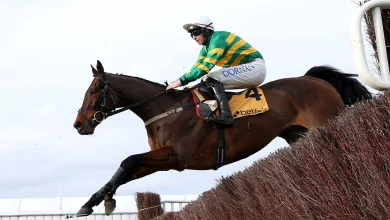 Live racing blog: Trackside Live updates from Cheltenham Trials Day