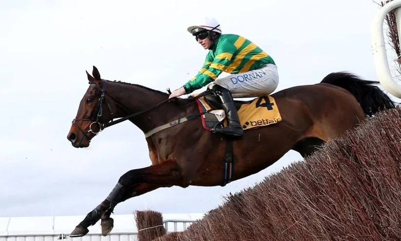 Live racing blog: Trackside Live updates from Cheltenham Trials Day