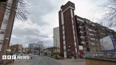 Man, 23, stabbed to death in Deptford