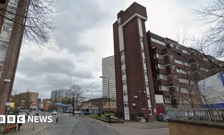 Man, 23, stabbed to death in Deptford
