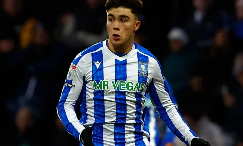Man Utd wonderkid Harry Amass considering move to Championship high-flyers Stoke from Sheffield Wednesday