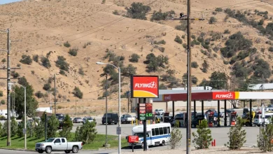 Man charged in ‘largest jewelry heist in U.S. history,’ avoids trial by getting deported