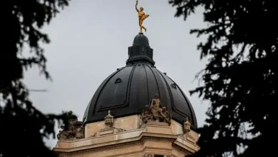 Manitoba PC board member suspended ICE comment on social media