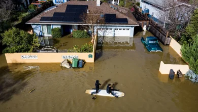 Marin County Looked Like ‘a Lagoon’ After King Tides, Heavy Rain
