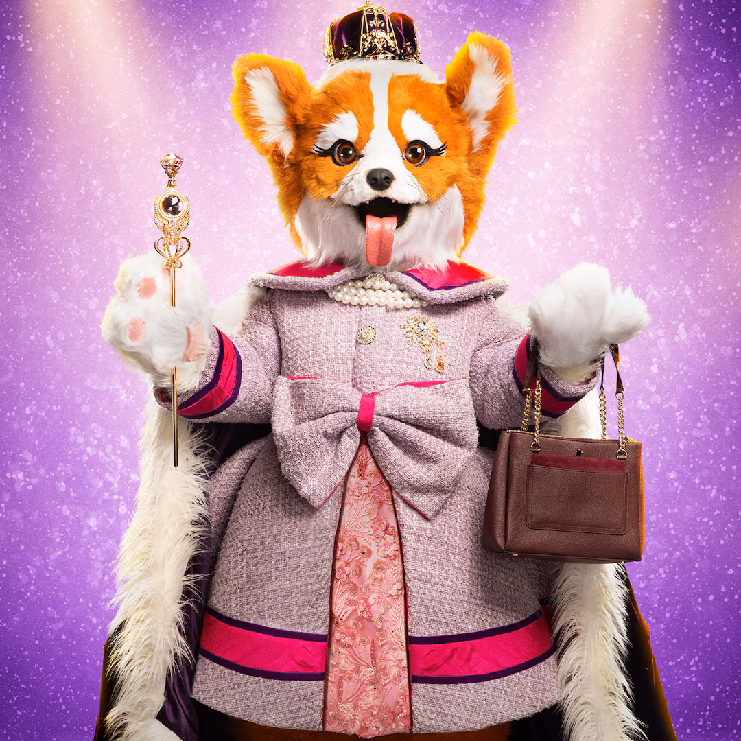 Masked Singer Contestant Shockingly Withdraws Seconds Before Elimination Reveal