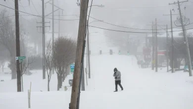Massive winter storm strains US power grid as operators scramble to avoid blackouts