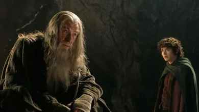 McKellen Confirms Gandalf, Frodo Return