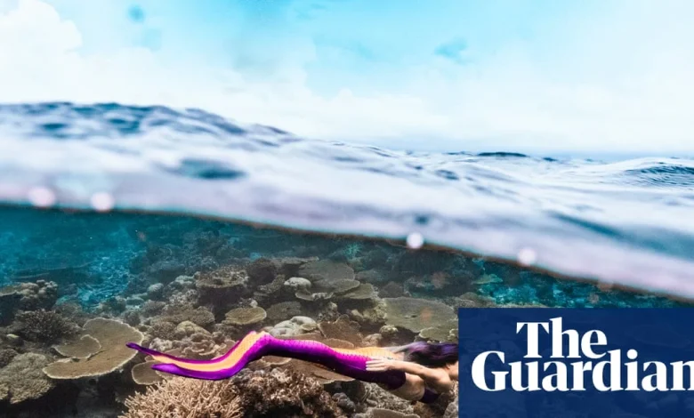 Meet the merpeople: ‘Once I put the tail on, my life was changed forever’ | Swimming