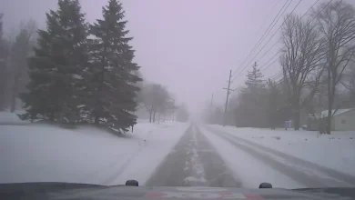 Metro Detroit weather: Temps rise a bit Wednesday, but snow prompts Winter Weather Advisory