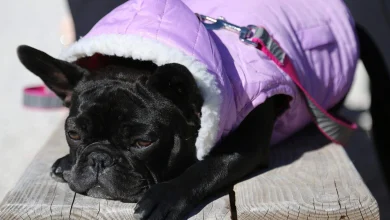 Miami will feel the heat, then plunge 35 degrees. How long will the cold last?