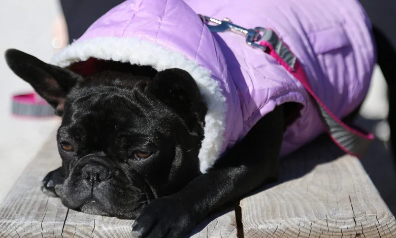 Miami will feel the heat, then plunge 35 degrees. How long will the cold last?