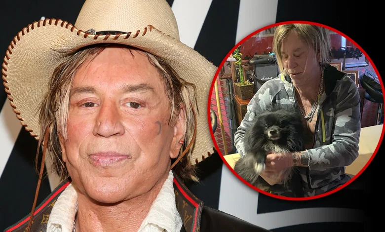 Mickey Rourke's Dog Needs Heart Surgery the Actor Can't Afford