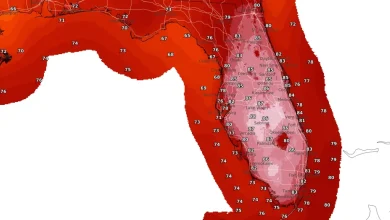Millions brace for cold as Florida could see record highs: forecast