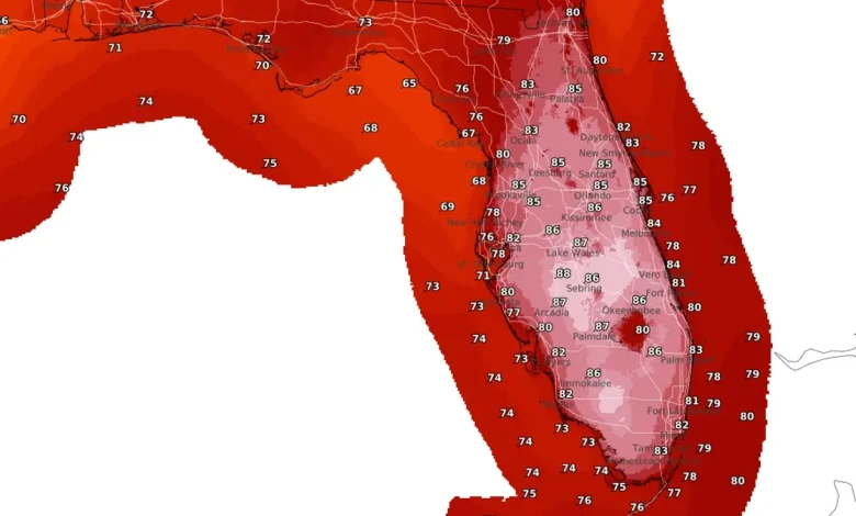 Millions brace for cold as Florida could see record highs: forecast