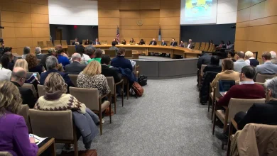Minnesota Senate hearing on Operation Metro Surge draws lawmakers from 15 states