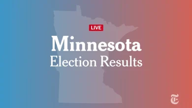 Minnesota State Legislature Special Election Results 2026