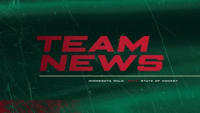 Minnesota Wild Recalls Defenseman David Jiříček From Iowa