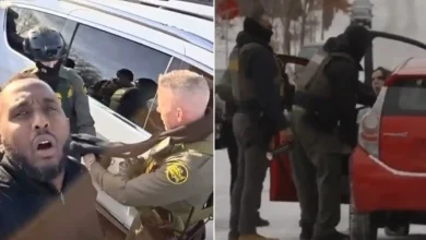 Minnesotans describe their encounters with ICE agents