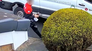 Moment DPD driver steals £1,200 iPhone after taking pic of himself delivering it