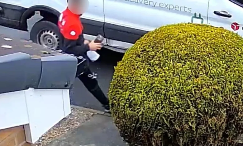 Moment DPD driver steals £1,200 iPhone after taking pic of himself delivering it