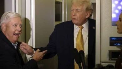 Moment Donald Trump ‘disintegrates before our very eyes' live on CNN