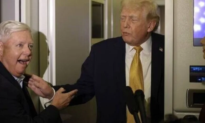 Moment Donald Trump ‘disintegrates before our very eyes' live on CNN