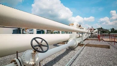Montenegro Signals Interest In Azerbaijani Gas To Boost Energy Security
