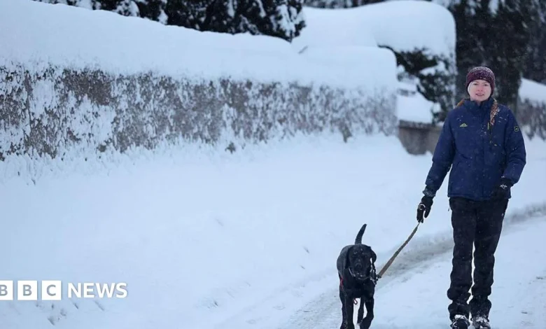 More snow and ice across nearly all of UK as cold snap continues