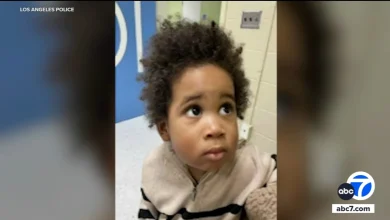 Mother arrested after toddler left behind during attempted car theft in Highland Park, Los Angeles police say