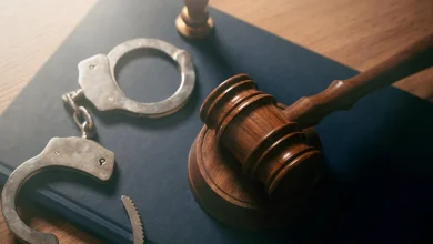 Murders plummeted more than 20% in U.S. last year, the largest drop on record, study shows