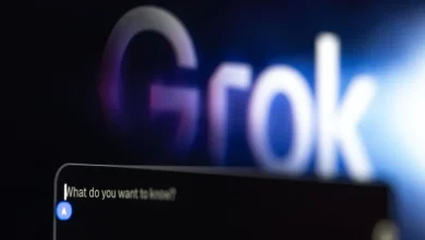 Musk’s Grok blocked by Indonesia, Malaysia over sexualized images in world first