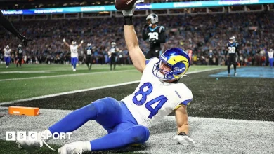 NFL play-offs: Los Angeles Rams survive scare to beat Carolina Panthers on Wildcard Weekend