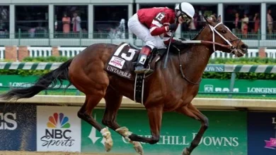 Napravnik Returns for New Vocations Day at the Races