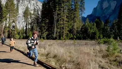 National Park Fees Rise And Rules Shift For 2026