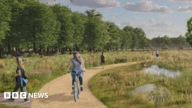 National Trust applies to open new area at Attingham Park estate